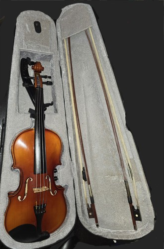 Electro acoustic violin - electro,