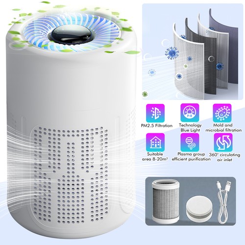 Air purifier for - air,
