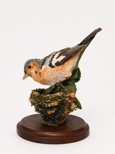 Border fine arts - tit, bird