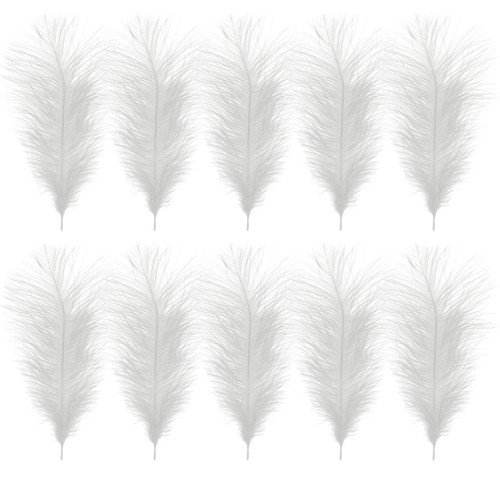 Ostrich feathers plume craft - feathers,