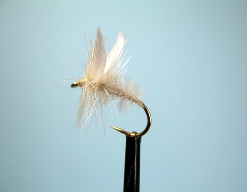 White moth fly - moth, fishing