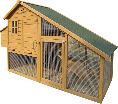 Large sandringham chicken - sandringham,