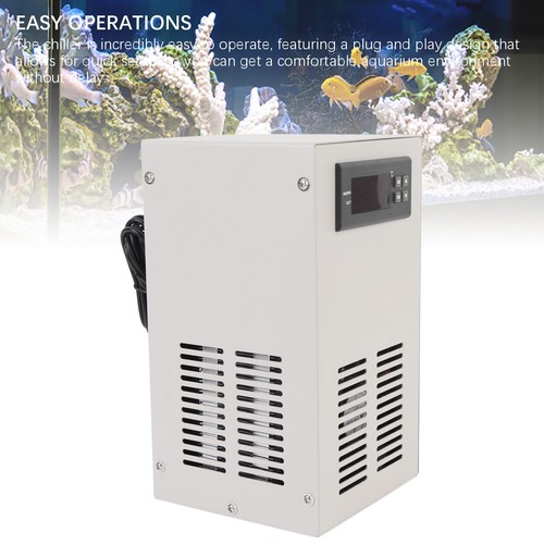 Aquarium chiller constant - aquarium,