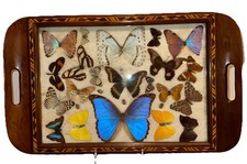 Vintage Brazilian Mahogany