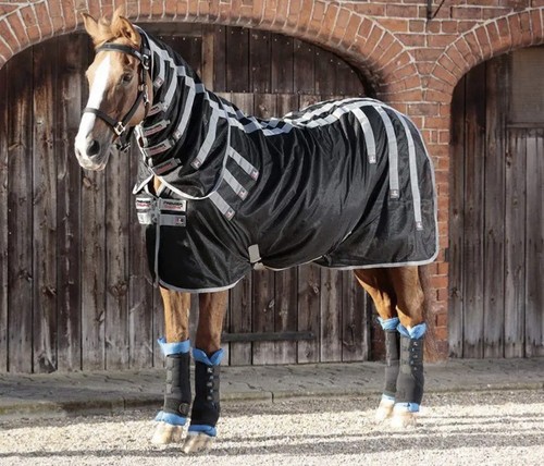 Magnetic rug neck - only, horse