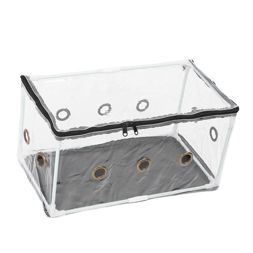 Still air box - air, mushroom