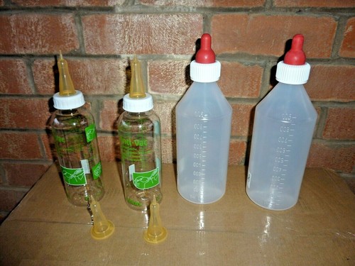 Lamb feeding feeder bottles - feeder,