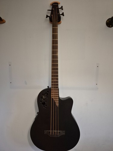 Acoustic bass guitar - bass,