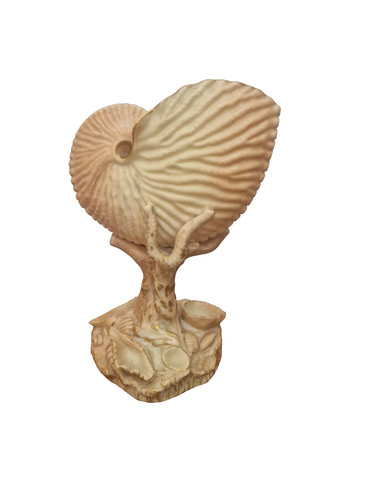 Antique royal worcester blush - antique,