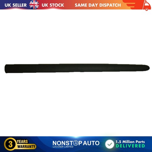 Door panel trim moulding - panel,