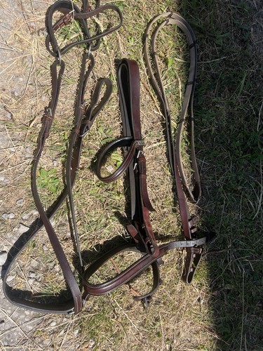 Stubben bridle and breastplate