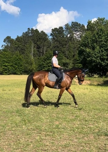 2023 prestige passion - 2023, k