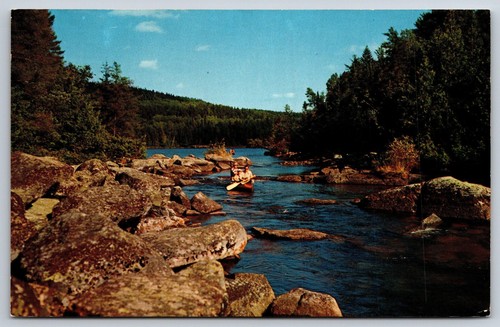 Postcard minnesota canoe - postcard, minnesota's