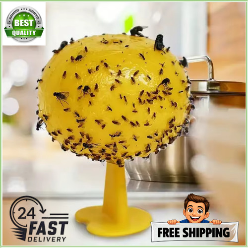 Fruit fly balls ball - fly, trap