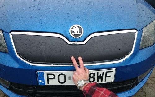 Front grill winter - grill, for