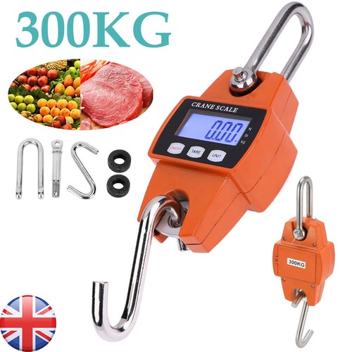 Mini crane scale 300kg - scale,