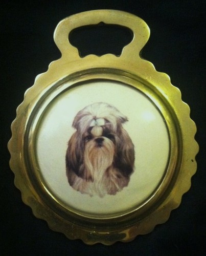 New dog shih tzu ceramic - tzu, horse