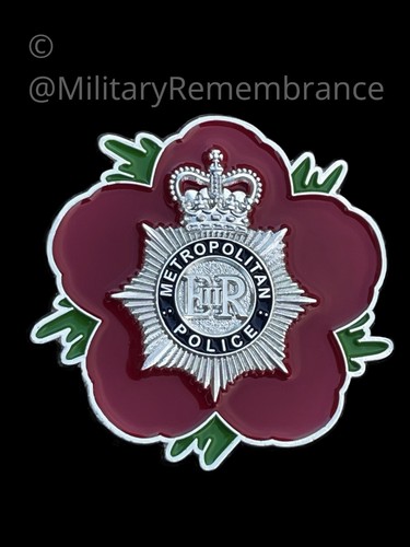 Metropolitan police - metropolitan,