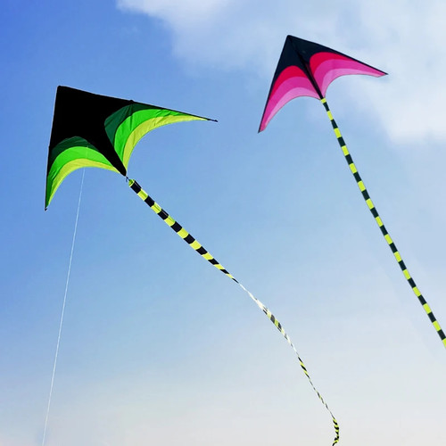 Large delta kite - delta,