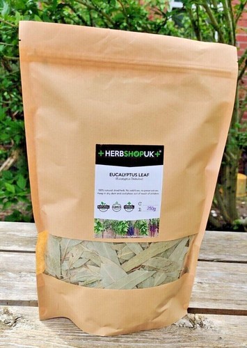 Eucalyptus leaf dried herb - leaf,