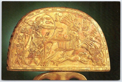 Tutankhamun ostrich feather - tutankhamun,
