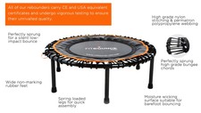 Fit Bounce Pro Rebounder (1