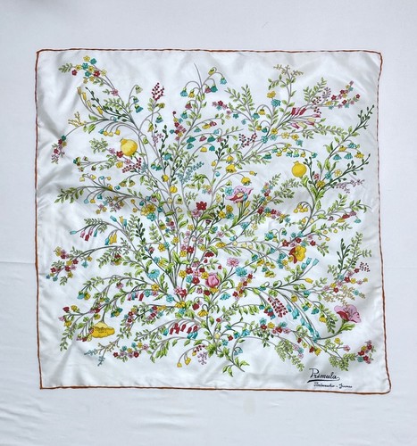 Primula white floral hand - floral,