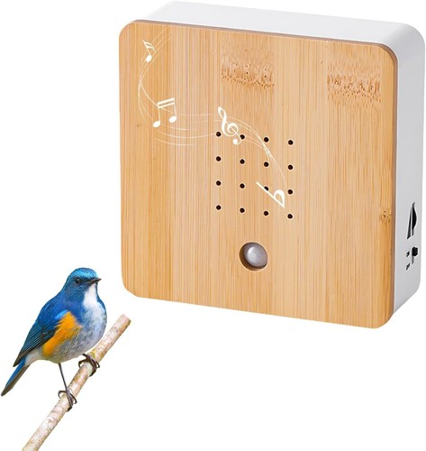 Bird chirping soundbox - bird,