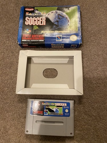 Sensible soccer european - soccer,