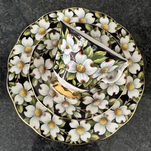Royal albert provincial - albert,