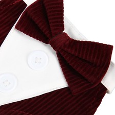 ⁺Pet Wedding Suit Stylish