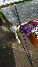 Antique Ebonised Walking Stick