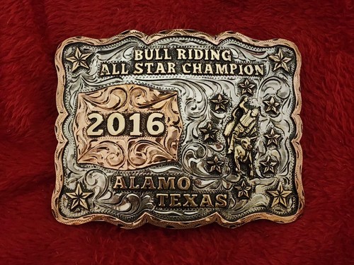 Rodeo bull riding - bull,
