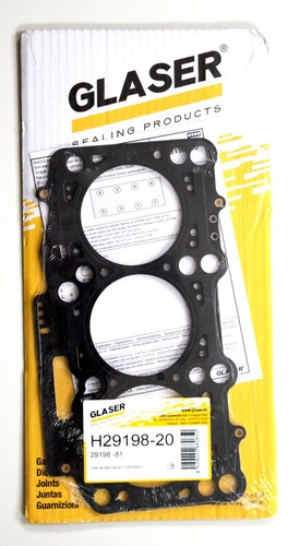 Cylinder head gasket for - head,