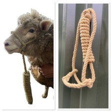 SHEEP HORSE ROPE HALTER POLY
