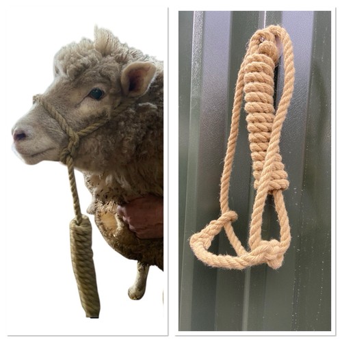 Sheep horse rope halter - sheep,