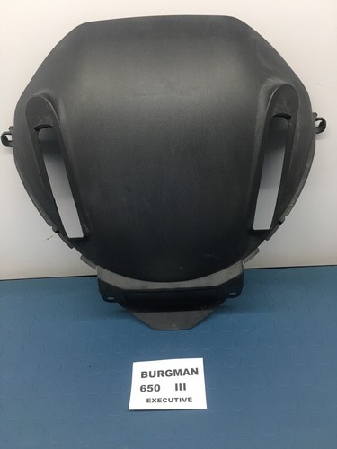 Front fairing suzuki - front,