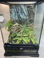 Full Mature Planted Exo Terra