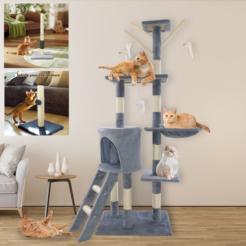 Cat tree activity centre - cat,