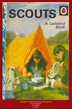 "SCOUTS" by David Harwood -