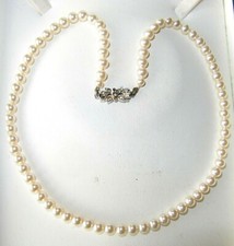 Beautiful Rosita 1xStrand