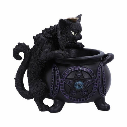 New black cat - cat, spite