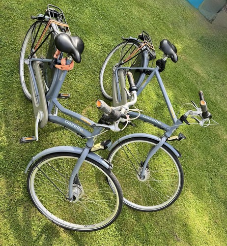 Gazelle lyon speed - gazelle, 3