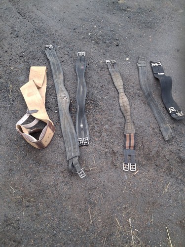 New horse girths job lot - horse,