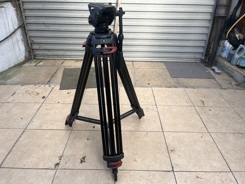 Vbestlife pro video - pro,