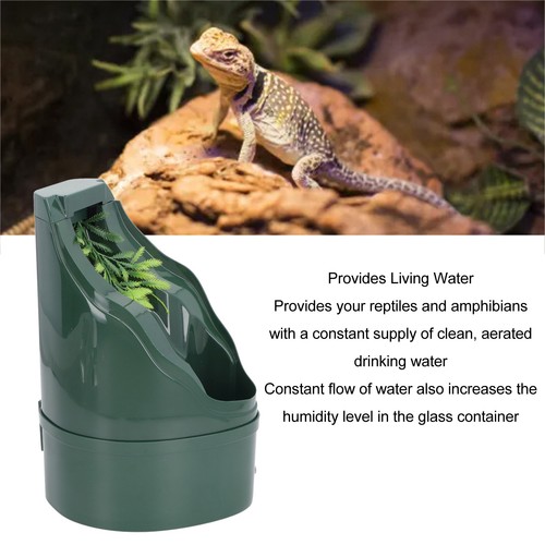 Reptile drinking fountain for - reptile,