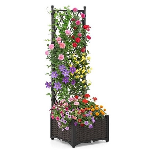 Raised garden bed with trellis - bed,