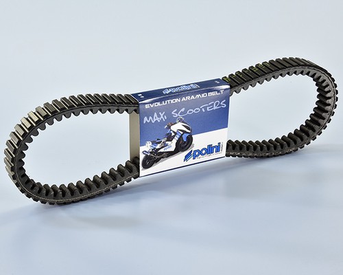 248 114 polini variator belt - 248.114,