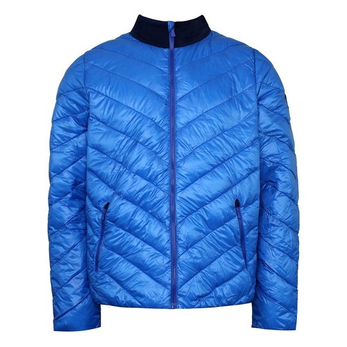 Rossignol alipne mens - rossignol,
