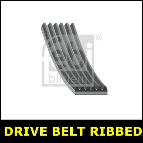 Alternator drive belt fits - alternator,